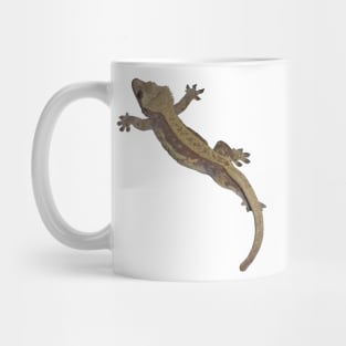 crested gecko Mug